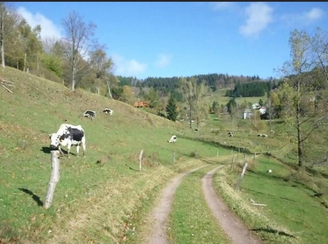 Gite De Montagne Au Pied Du Champ Du Feu Belmont Kültér fotó